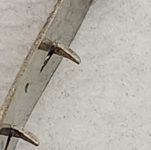 Vintage Dress-clip with Faux Pearl and Rhinestone - Picture 3 of 9